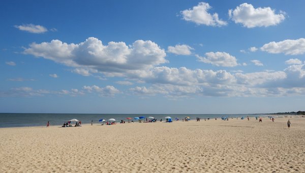 Top plages à explorer sur l'île d'oléron : la plage des saumonards