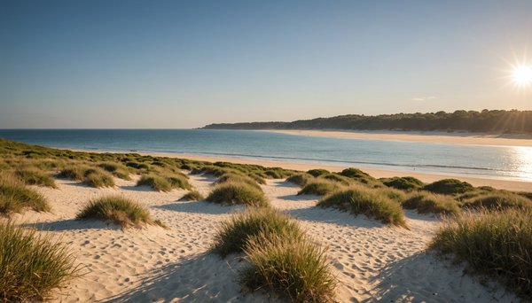 Explorer la côte vermeille : les meilleurs campings proches de l'espagne